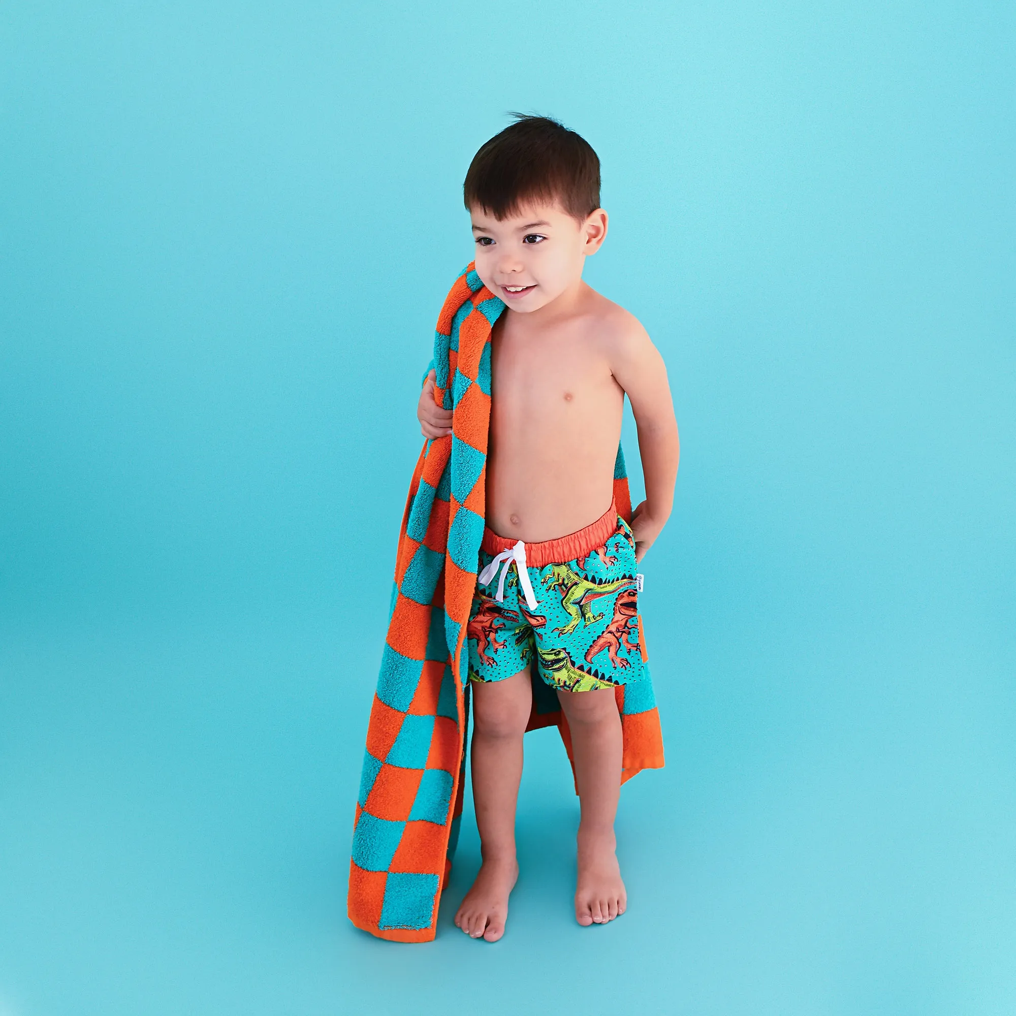 Spencer Checks BEACH TOWEL